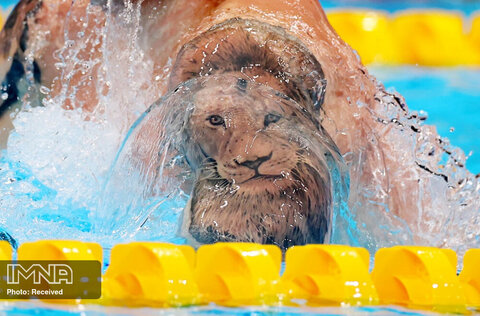 شنای آدام پیتی بریتانیایی در فینال ۱۰۰ متر قورباغه