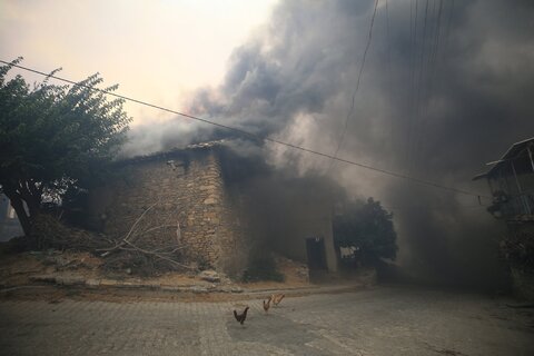 Forest fires sweeping through southern Turkey