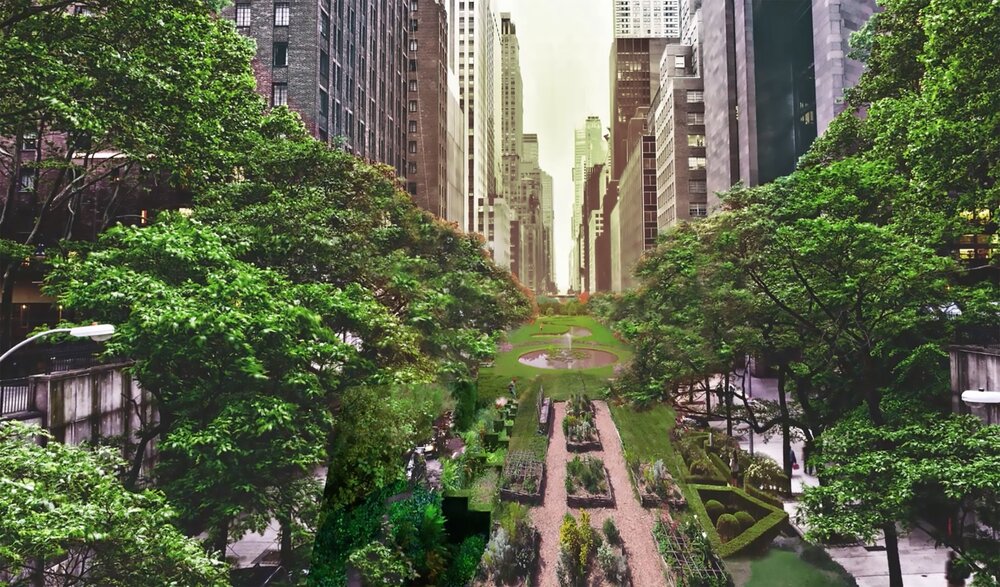 نقش فضاهای سبز و آبی شهری در پیشگیری از مرگ‌های زودهنگام
