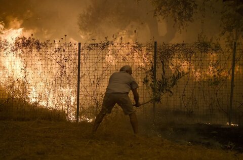 Greece fires in pictures
