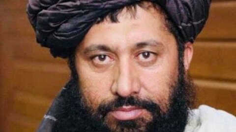 رئیس بانک مرکزی طالبان چقدر سواد دارد؟ 