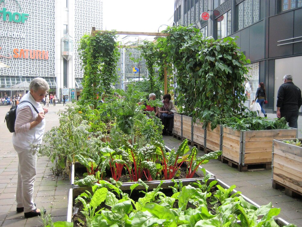 حمایت اشتوتگارت آلمان از پروژه‌های فضای سبز شهری