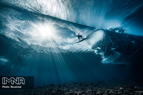 برگزیدگان مسابقه عکاسی اقیانوس ۲۰۲۱
