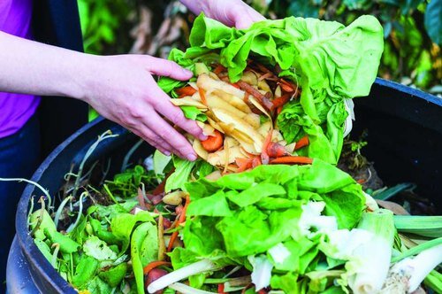 Vermicompost production innovative strategy by Isfahan's waste management organization