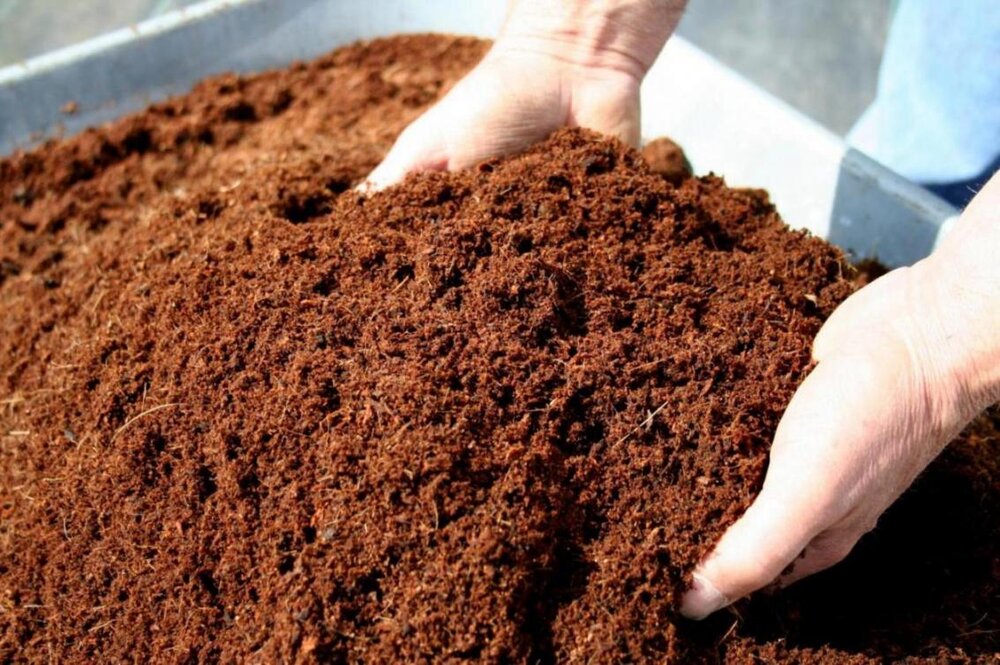 Vermicompost production innovative strategy by Isfahan's waste management organization