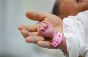 افزایش آمار ولادت در اصفهان