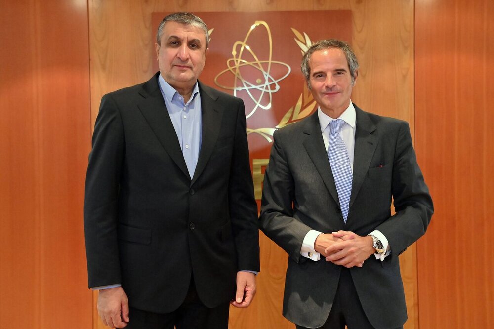 مدیرکل آژانس بین‌المللی انرژی اتمی با اسلامی دیدار کرد