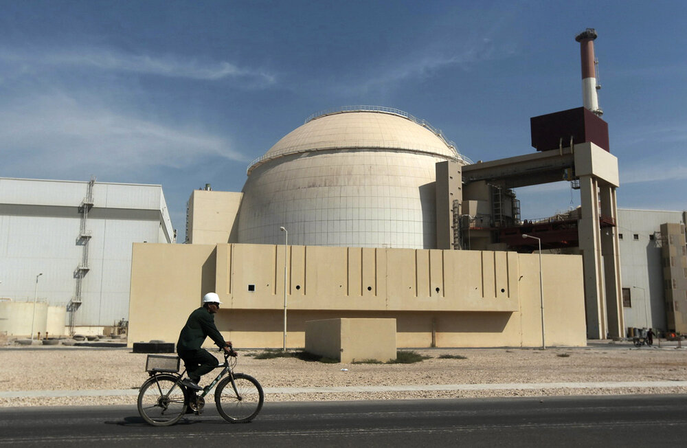 Bushehr nuclear plant produces more than 60 billion kW/h: AEOI chief
