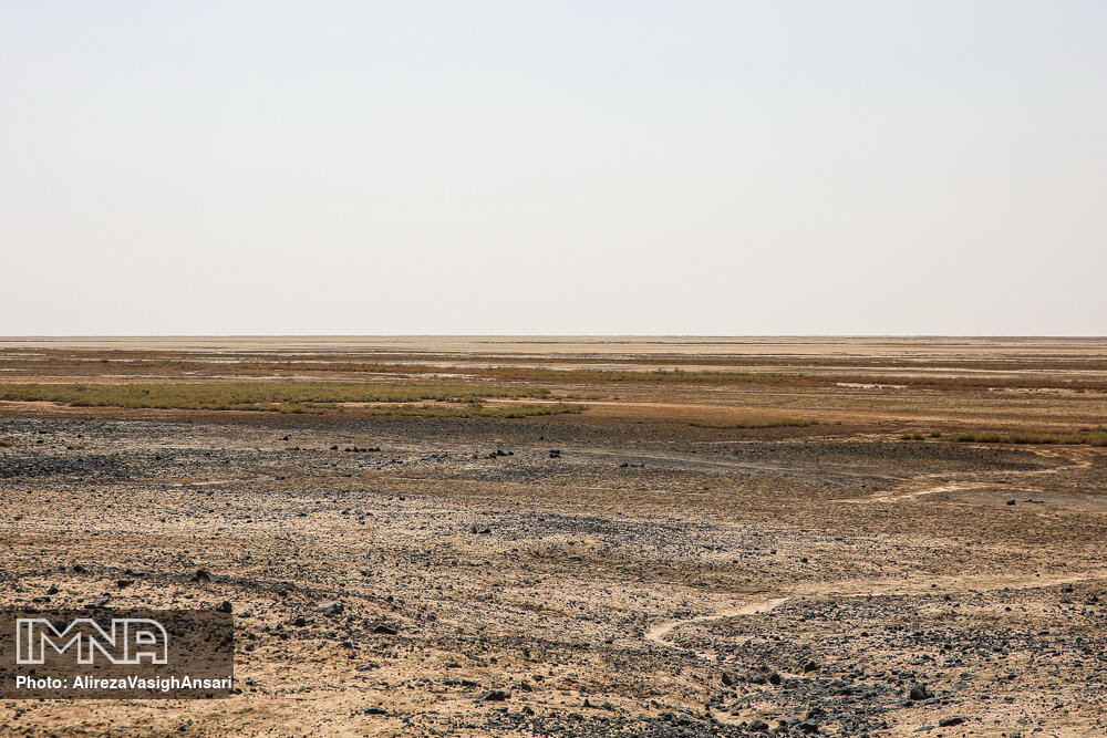 خشکی گاوخونی، شهر تالابی ورزنه را تهدید می‎‌کند