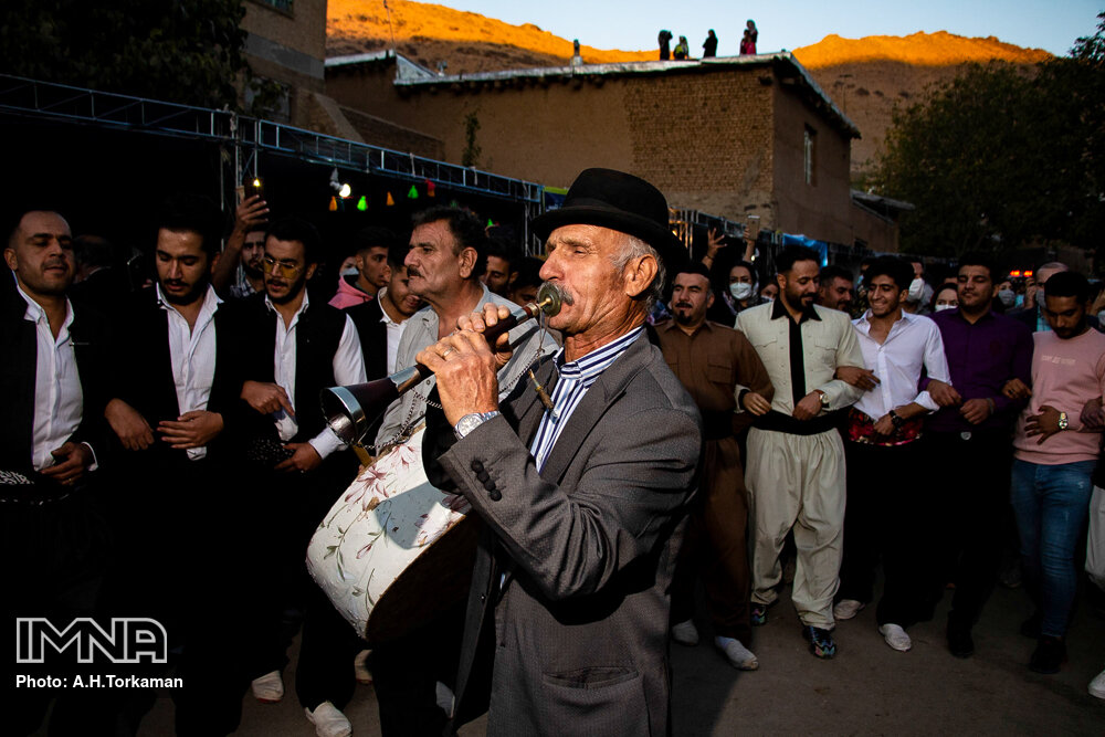 جشنواره برداشت آلو در همدان