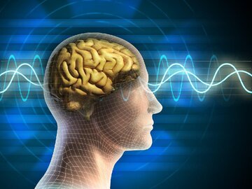 تاثیر قدرت نوروپلاستیسیتی بر نوسازی مغز و ایجاد مسیرهای جدید در ذهن