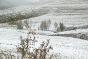 بارش ۶ سانتی‌متری برف در روستای دوشخراط خوانسار