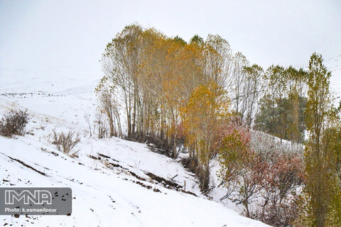 بارش برف در شهرستان کلیبر