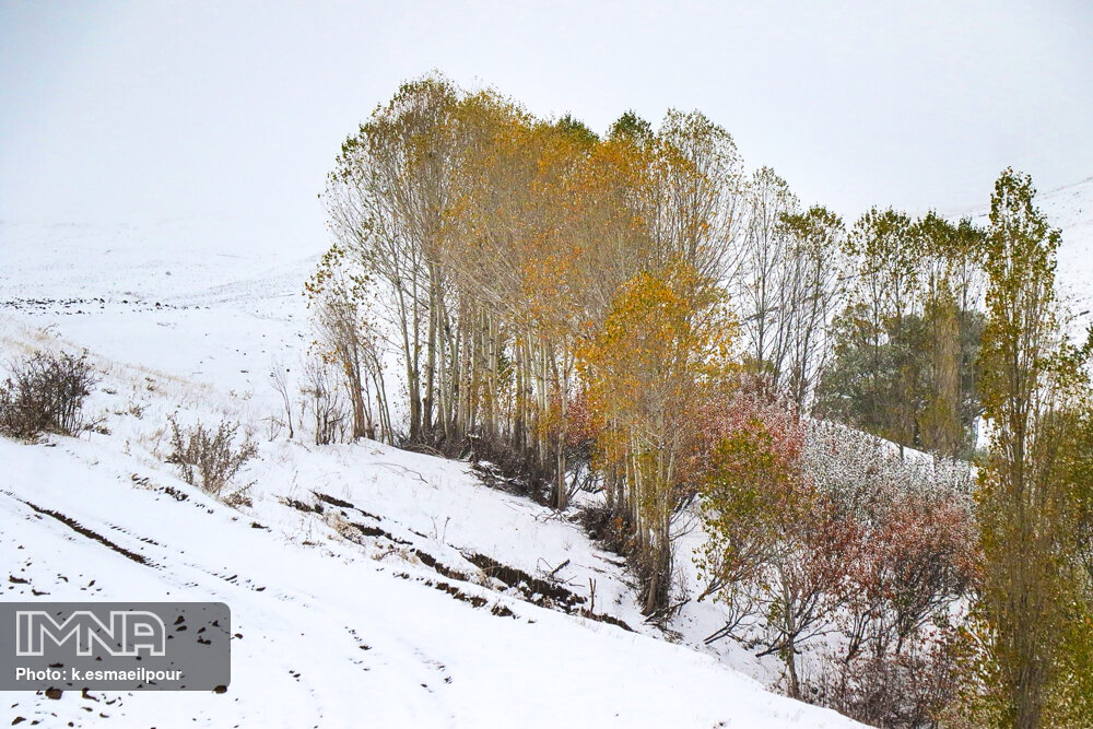 بارش برف و باران در ۱۴ استان/ورود سامانه بارشی جدید از دوشنبه