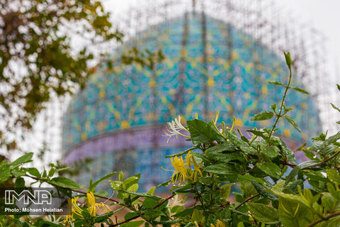 Isfahan welcomes first autumn rain