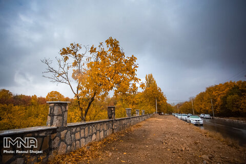 Most impressive displays of autumn colours in Isfahan's Khansar