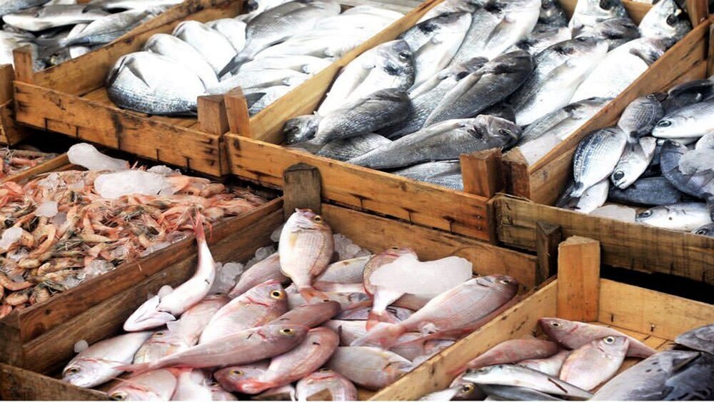 Fishery export stands at 62,500 tons in H1