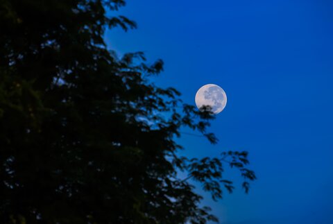 امشب شاهد ماه کامل سگ آبی یا میکروماه باشید
