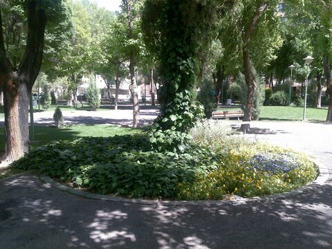 شهر آلونی تنها یک پارک دو هکتاری دارد