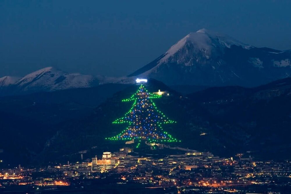 بزرگ‌ترین درخت کریسمس جهان نورانی می‌شود