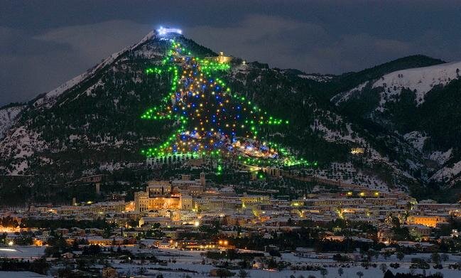 بزرگ‌ترین درخت کریسمس جهان نورانی می‌شود