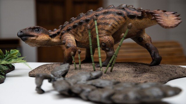 کشف گونه جدیدی از دایناسورها در شیلی