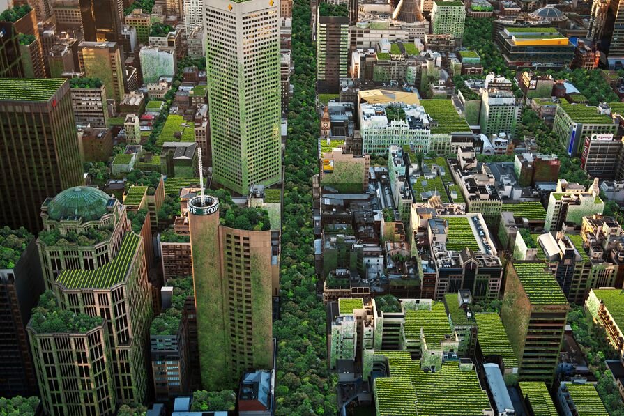 ۱۵ نوآوری برای توسعه طبیعت درون شهرها