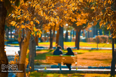 Autumn in Iran