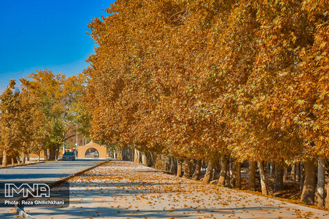 Autumn in Iran