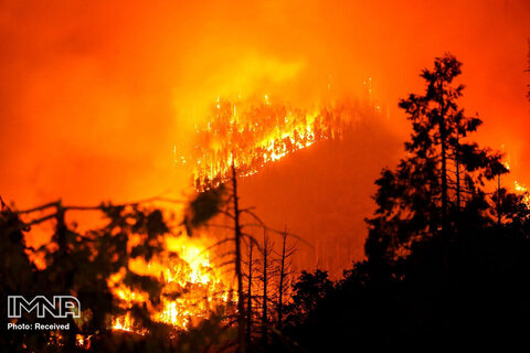 پیشرفت آتش سوزی به علت باد در پارک ملی سکویا در ایالت کالیفرنیای  ایالات متحده
24 سپتامبر2021 
