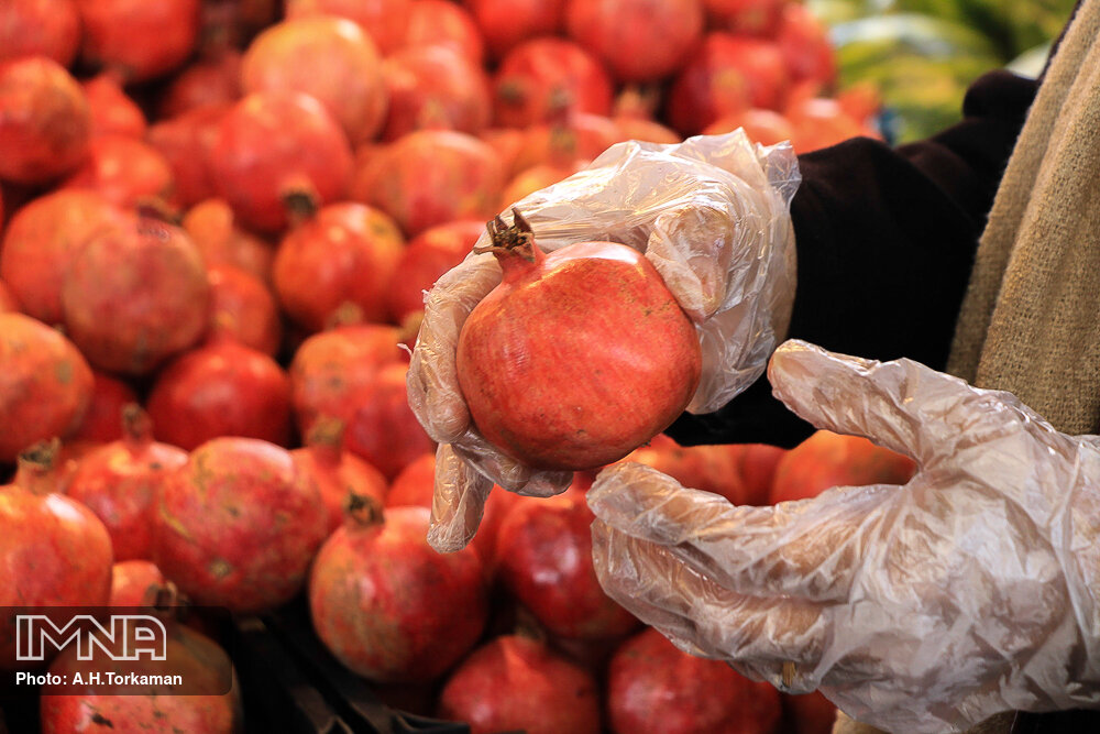 قیمت میوه‌های تنظیم بازاری در پلتفرم‌های هوشمند اعلام شد