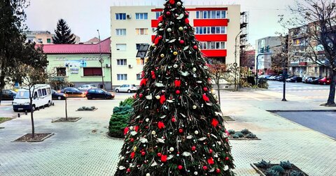 درختان کریسمس دورانداخته؛ زیست‌توده شهر مجارستانی