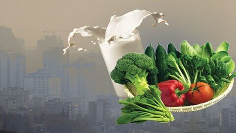 کدام مواد غذایی باید در هوای آلوده مصرف شود؟