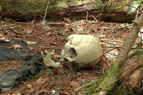 آئوکیگاهارا جنگل خودکشی در ژاپن