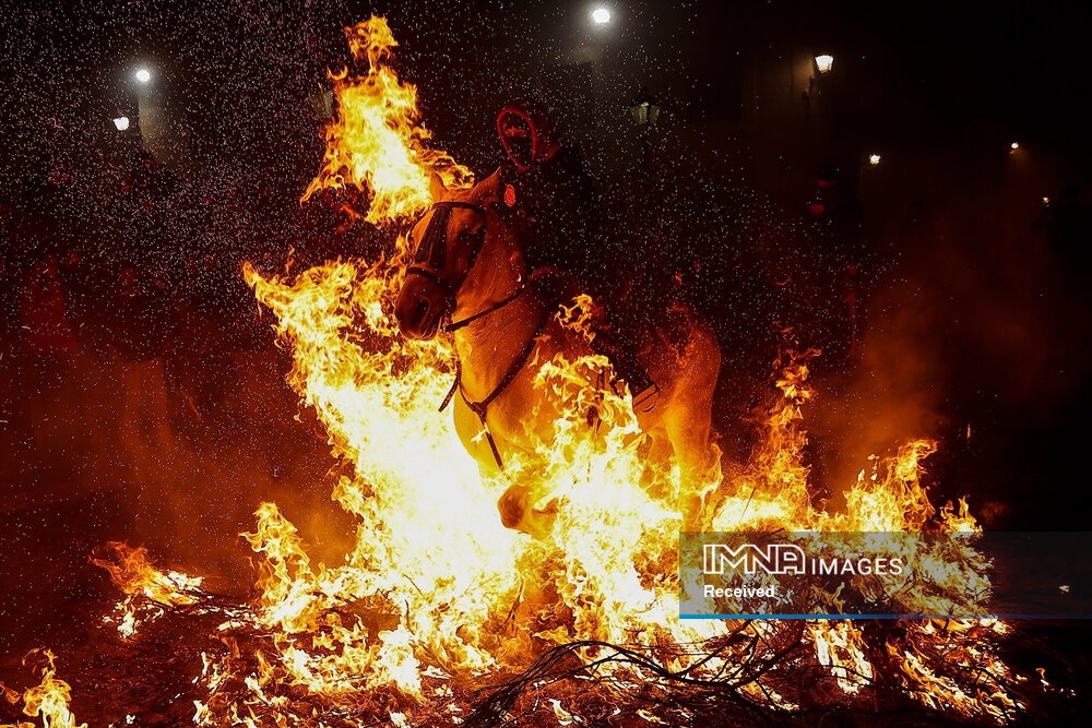 Las Luminarias; festival of blazes and horses