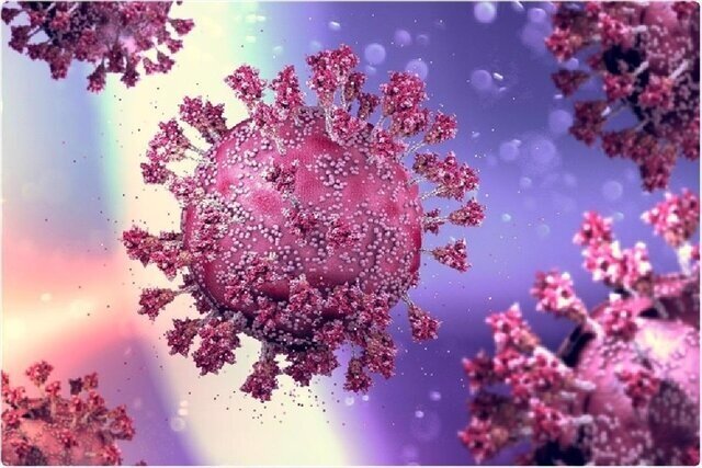 دومین ویروس ترکیبی کرونا با قابلیت انتقال بیشتر ظهور کرد