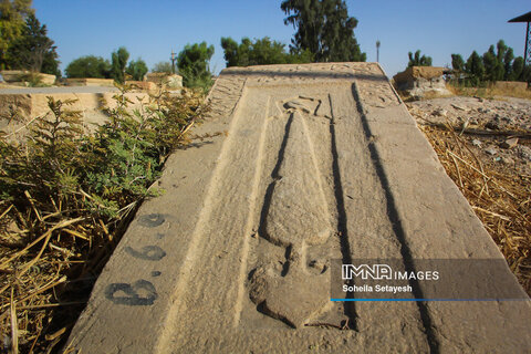 Dar al-Salem home to dead figures