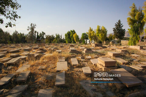 Dar al-Salem home to dead figures