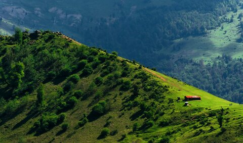 ‌بررسی وضعیت اشتغال شهر رشت در بخش گردشگری در سال جاری