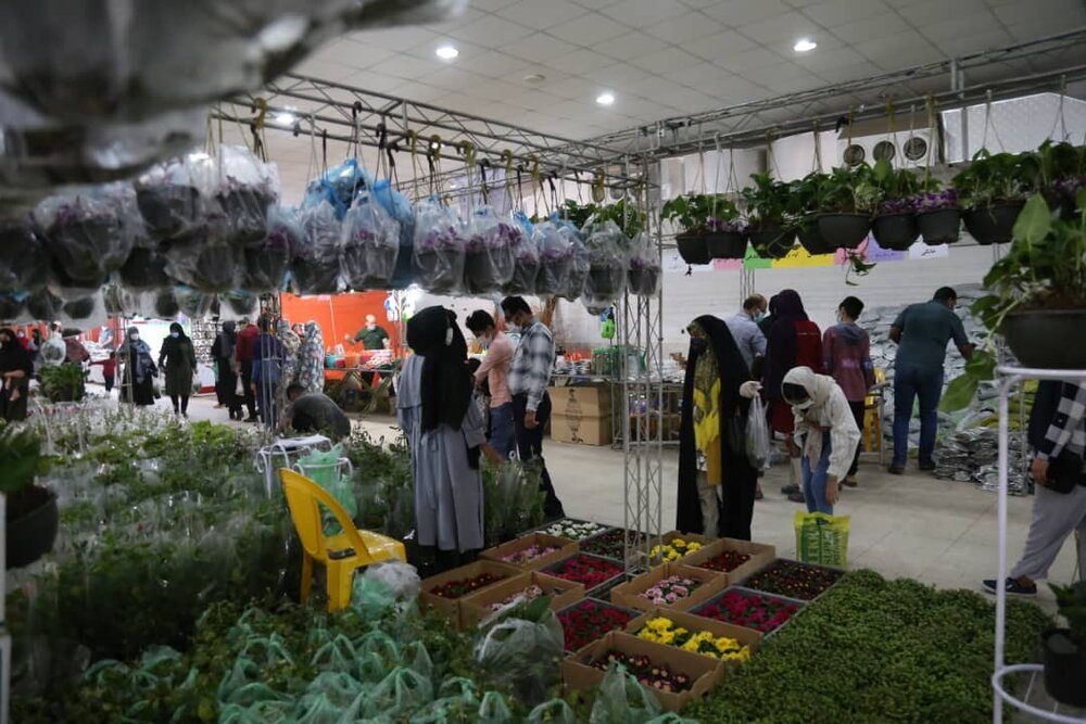 برپایی نمایشگاه گل و گیاه در بندرعباس با رعایت پروتکل های بهداشتی