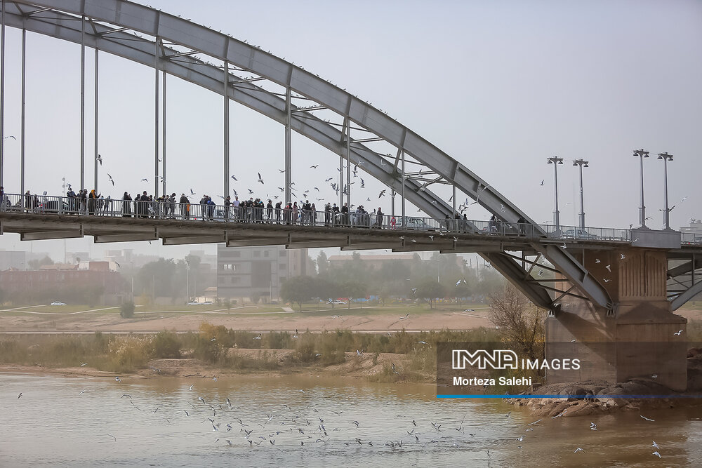 لزوم تغییر نوع نگاه به محیط زیست در خوزستان