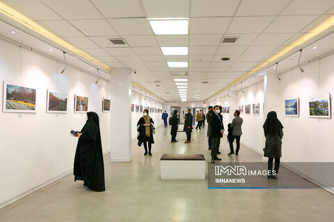 نمایشگاه آثار برگزیده جشنواره عکس "طبیعت ناژوان "