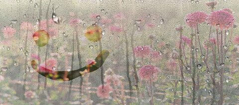 بیمه بدنه تعاون را آسان و سریع و آنلاین در پایان سال ۱۴۰۰ با بیشترین تخفیفات خریداری کنید بیمه بدنه تعاون را آسان و سریع و آنلاین در پایان سال ۱۴۰۰ با بیشترین تخفیفات خریداری کنید