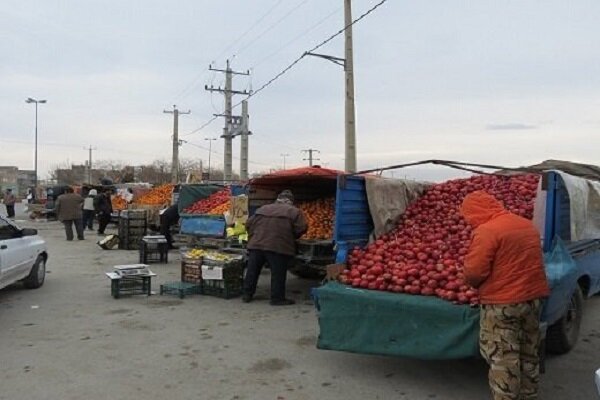 ضرورت ساماندهی وانت‌بارهای عرضه میوه توسط مدیریت شهری