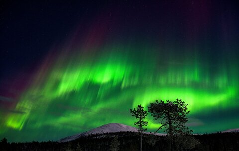 Aurora Borealis; stunning dance of lights