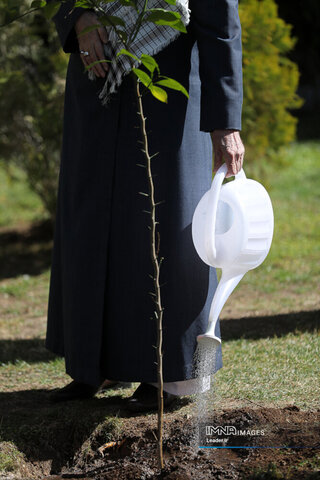 کاشت نهال توسط مقام معظم رهبری به مناسبت روز درختکاری