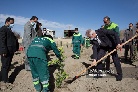 روز درختکاری با حضور مدیران شهری