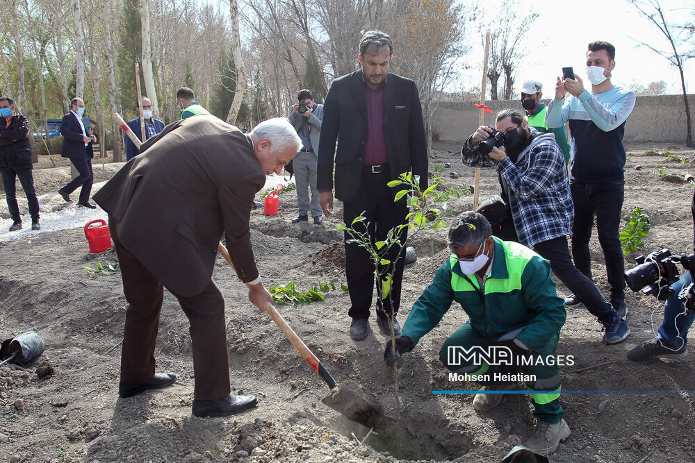درختان سازگار با اقلیم اصفهان کاشته می‌شود/درخت‌بانی در کنار درخت‌کاری