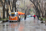 بارش باران در آخرین ماه زمستان