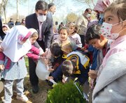 کاشت نهال احترام به محیط زیست است